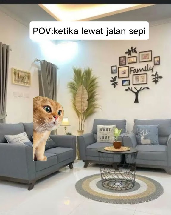 Siapa yang pernah lewat jalan sepi#meme#kucing#cat#funny#fyp
