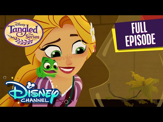 The Alchemist Returns | S1 E21 | Full Episode | Tangled: The Series | Disney Channel Animation class=