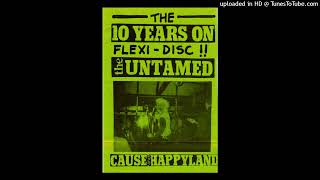 THE UNTAMED The 10 Years On Flexi-Disc! 7 Flexi 1986 2 tracks (FULL/COMPLETE) Rare Durham UK Punk