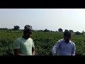 Nfl resulted farmer vidios tehsanawad dist khargoan mp jems bond axilent resulte