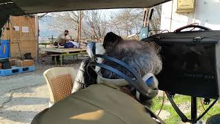 Çılpaq Filminin Çəkiliş Prosesi.quruluşçu Rejissor Hikmet Rəhimov.aktyor Rasim Cəfər 9