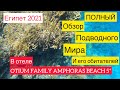 🔴ЕГИПЕТ 2021🔴OTIUM FAMILY AMPHORAS BEACH 5*🔴ПОДВОДНЫЙ МИР И ЕГО ОБИТАТЕЛИ🔴ПОЛНЫЙ ОБЗОР(8 СЕРИЯ)