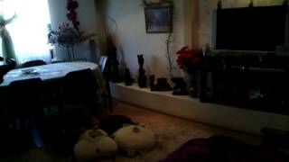 VID 20150212 153624