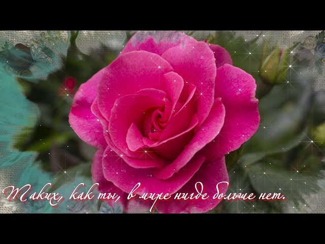 Считай себя самой красивой и лучшей! Смотреть видео Считай себя самой красивой и лучшей!