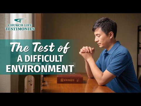 Video: How a person affects nature is a difficult question