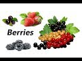 Different types of berries with pictures and names