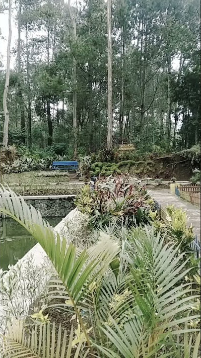 Story wa pemandangan indah danau