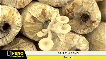 FBNC - Nông nghiệp công nghệ cao TPHCM thiếu nguồn nhân lực chất lượng