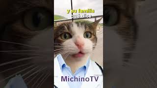 Cómo Va El Audífono Nuevo? 😹😹😹  #Gatos #Cat #Humor #Gatosgraciosos #Gatoschistosos #Cosasdegatos