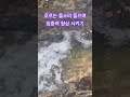물소리는 집중력을 높여 줍니다 #white #물소리