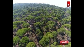 مشوار بلبنان - بكاسين