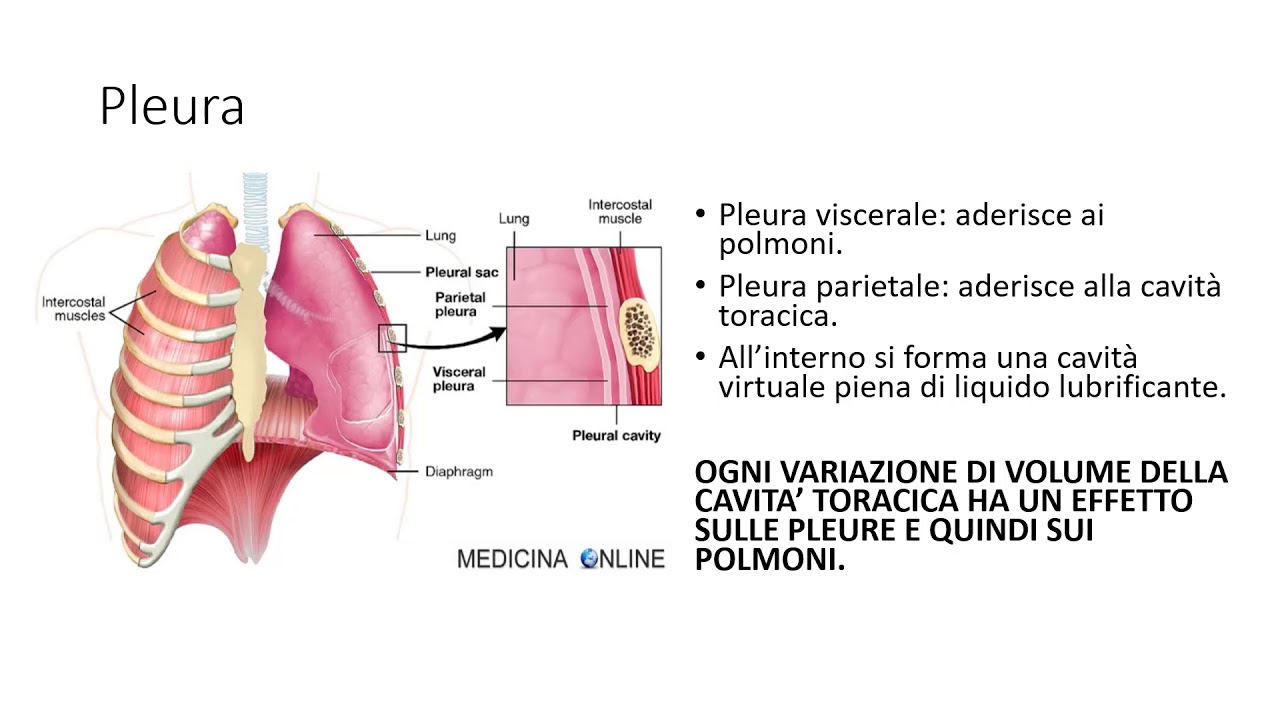 liquido tra polmoni e pleura Sai Acqua Ossigenata ml. 250 main image 0