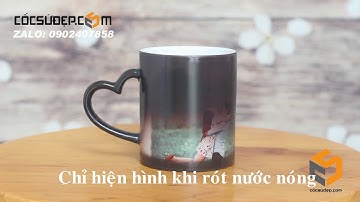 CỐC ĐỔI MÀU TÌNH NHÂN IN HÌNH MÓN QUÀ CỦA TÌNH YÊU