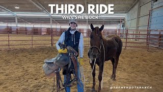 Audrey getting her third ride on her two year old #horse #ranch #cowgirl by The Mendota Ranch 16,193 views 4 months ago 31 minutes