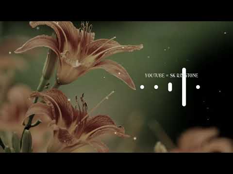 new-love-music,-hindi-ringtone-2019-,-latest-ringtone-2019,-ringtones-for-mobile
