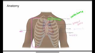 EKG Plain and Simple Chapter 1: Anatomy and Physiology