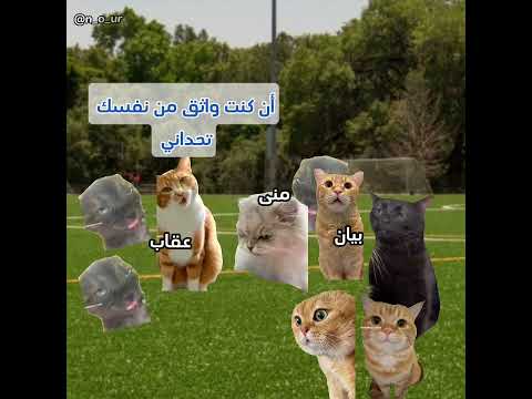 ملخص الحلقة الأولى من ابطال الكرة الفرسان في أقل من دقيقتين سبيستون ا