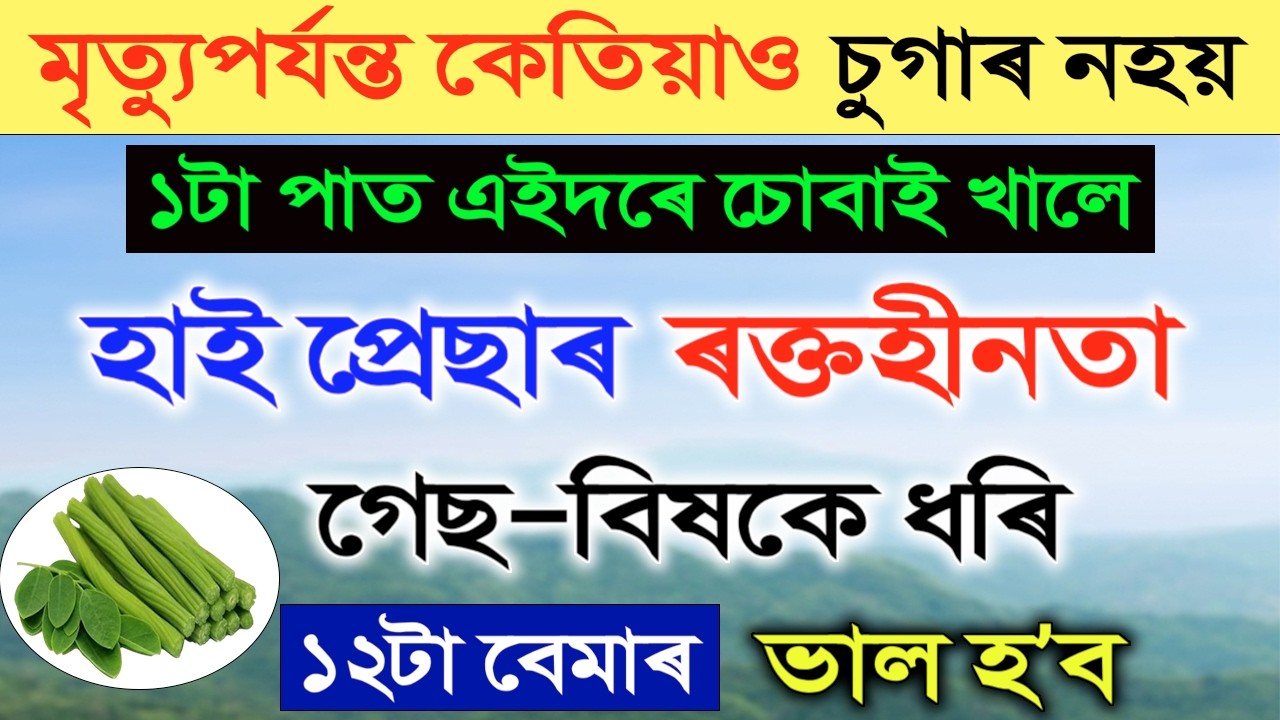 মৃত্যুপৰ্যন্ত কেতিয়াও চুগাৰ নহয়, ১টা পাত এইদৰে চোবাই খালে ১২টা বেমাৰ ভাল হব | Health Tips