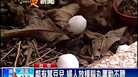邻居放樟脑丸 辱蚕豆症父母造孽－民视新闻 - 天天要闻