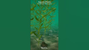 Aquatic Plants -- Unreal Engine FAB -- #shorts