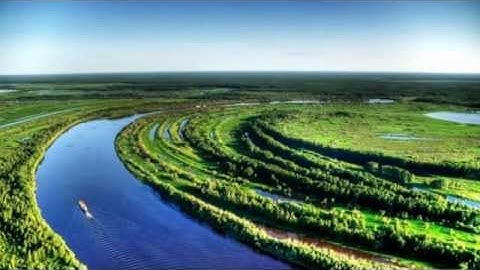 سورة لقمان | القارئ الشيخ مأمون الشمالي