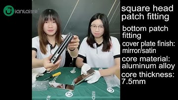 Install Floor Spring & Patch Fitting with Frameless Glass Door (Jianlai Glass Hardware)