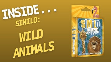 Similo Wild Animals | Inside with João Ricardo Ep263