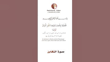 Raad Al kurdi Whatsapp status with Urdu translation/ سورة التغابن رعد الكردي