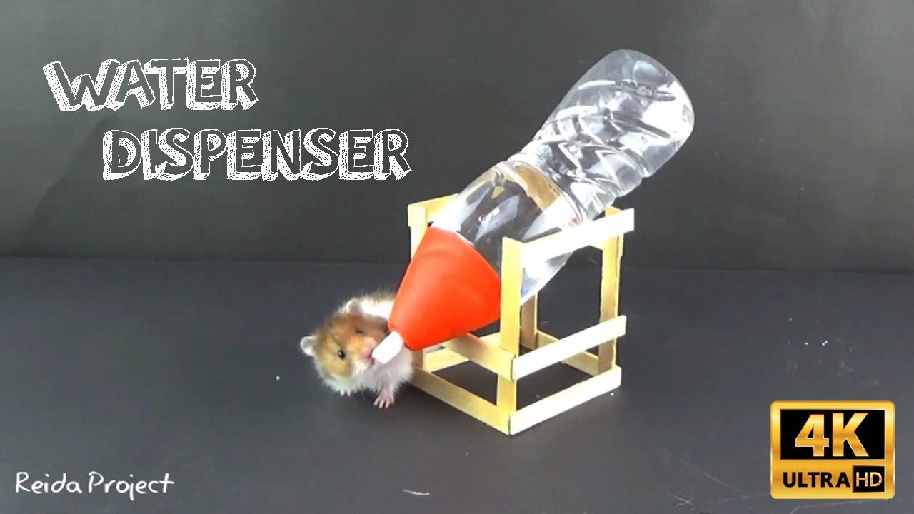 How to Make Water Dispenser for Hamster 