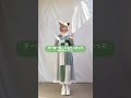【NG3連発】すーぱーぬこになれんかった【神綺杏菜】#Shorts