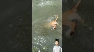 Funny Dog Playing in Water | Must Watch 🤣 #ବ୍ରହ୍ମପୁର #berhampur  #odia