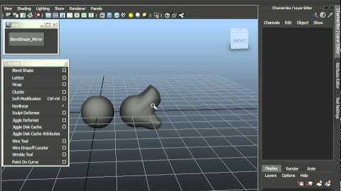 Maya  facial  mirror  BlendShape Expression