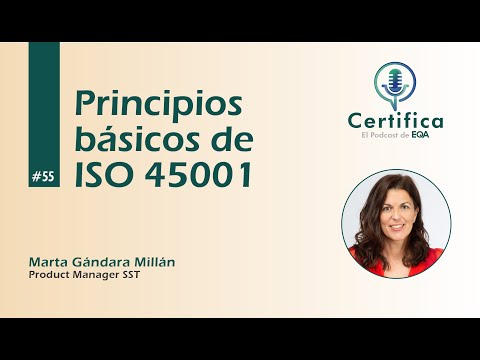 #55. Principios básicos