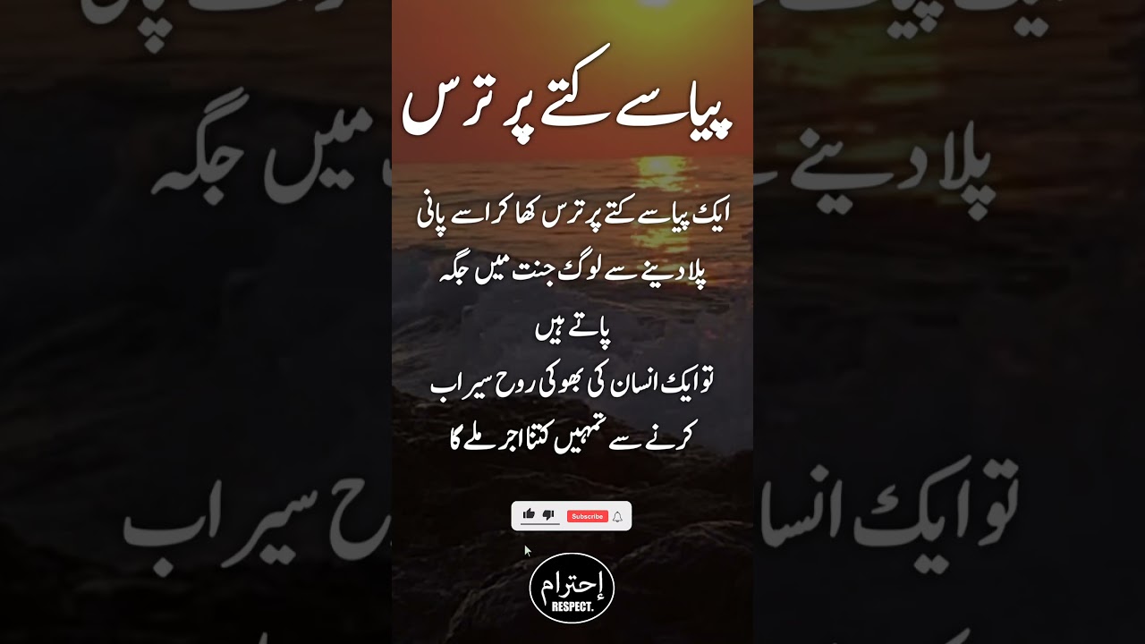 Heart Touching Urdu Quotes | Motivational Hindi Quotes | Urdu Quotes Status #shorts(2)