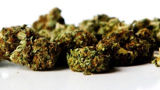 Legal Marijuana Marketing Faces High Marketing Hurdles Legal Marijuana Marketing Faces High Marketing Hurdles