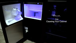 True Clear Ice Machine Cleaning and Maintenance