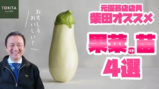 【果菜】2022年GWに植えて欲しい苗はコレ！柴田オススメの“おもしろ”果菜苗【家庭菜園】春野菜苗