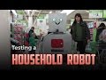 Dinadan the Household Robot Quiz