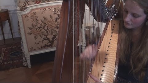 My Heart Will Go On - Céline Dion / Titanic Theme (Harp Cover)