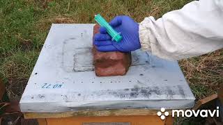 Leczenie Pszczół Kwasem Mrówkowym 85%.