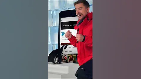 can | Teach a penguin to subscribe?