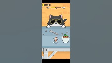 Hide & Seek : Cat 🐈 Escape Game | Level-497 | Satisfying Gameplay #games #shorts #hideandseek