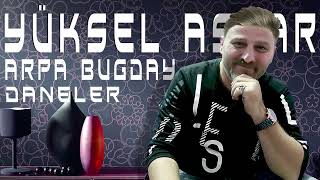 Yüksel Aşkar - Arpa Buğday Daneler ( Klasik Oyun Havaları ) Resimi