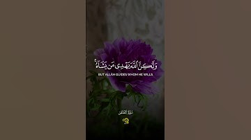 تلاوة هادئة من سورة القصص للقارئ محمد الفقيه 💚 - أرح سمعك وقلبك 😴