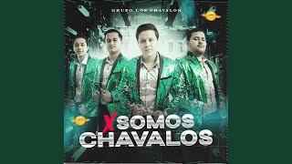 Video thumbnail of "Grupo Los Chavalos - Alfredo Beltran Guzman (En vivo)"