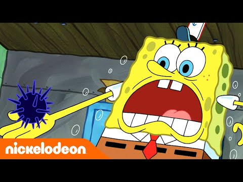 SpongeBob SquarePants | Egel in de keuken | Nickelodeon Nederlands - SpongeBob SquarePants | Egel in de keuken | Nickelodeon Nederlands