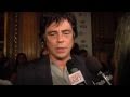 Benicio Del Toro On The Che Red Carpet Benicio Del Toro On The Che Red Carpet