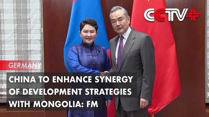 China to Enhance Synergy of Development Strategies with Mongolia: FM - DayDayNews