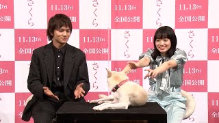 北村匠海&小松菜奈&愛犬“さくら”のほっこりインタビュー！映画『さくら』特別映像