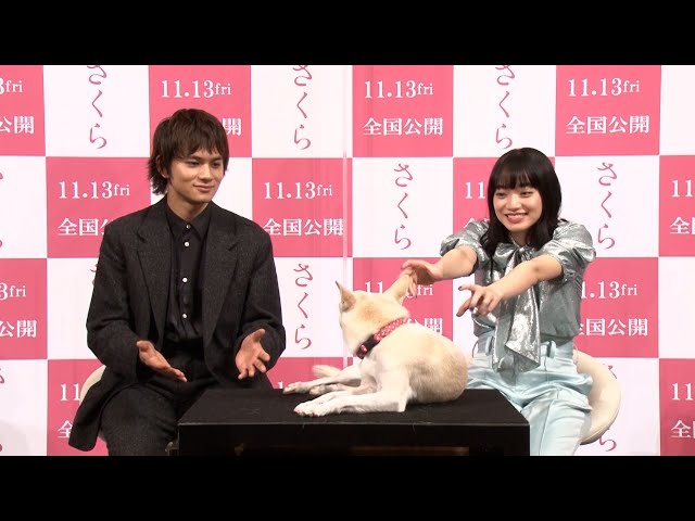 北村匠海&小松菜奈&愛犬“さくら”のほっこりインタビュー!映画『さくら』特別映像